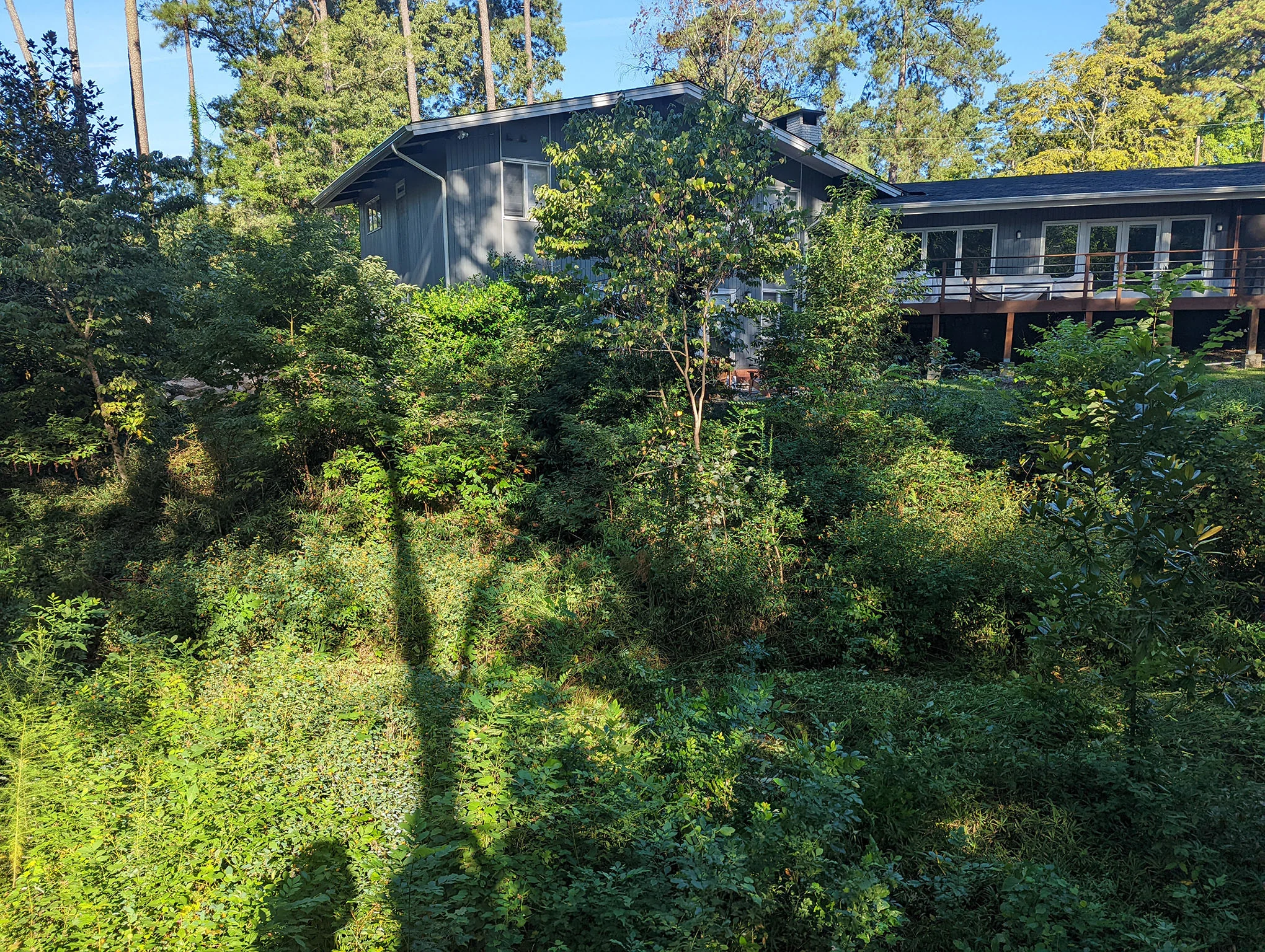 Steep eroded slope before boulder retaining wall installation