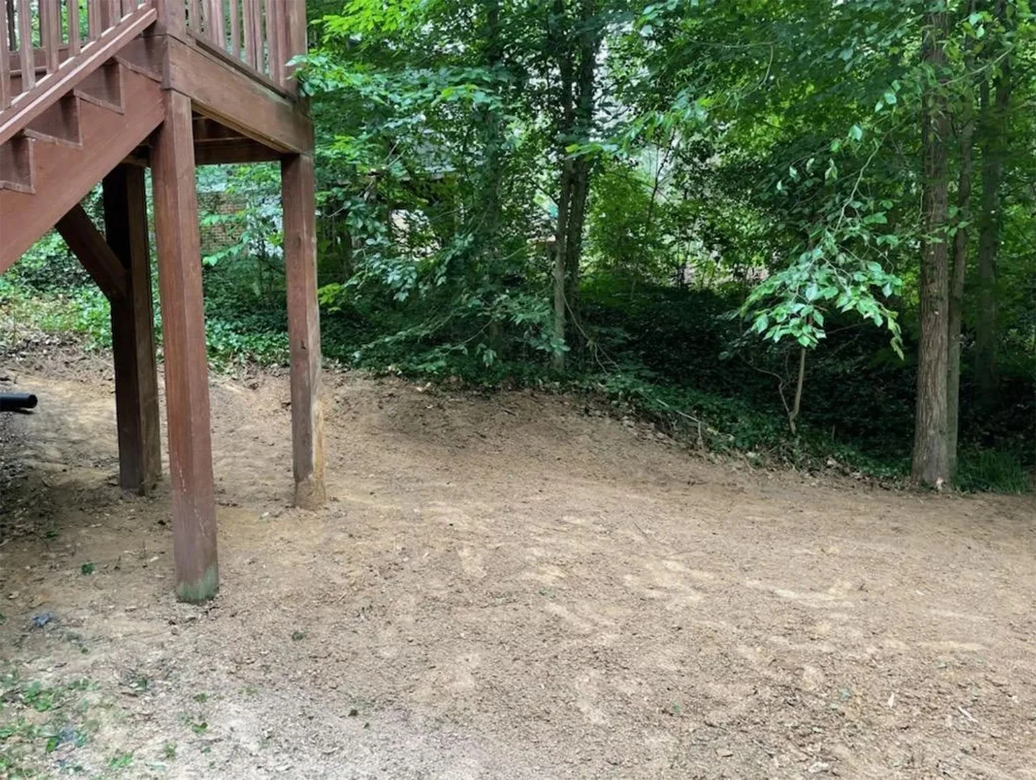 After overgrowth removal — cleared yard ready for new landscaping