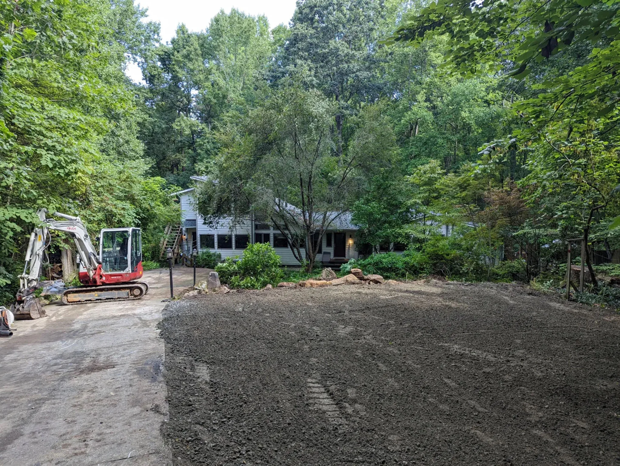 After overgrowth removal — clean open yard