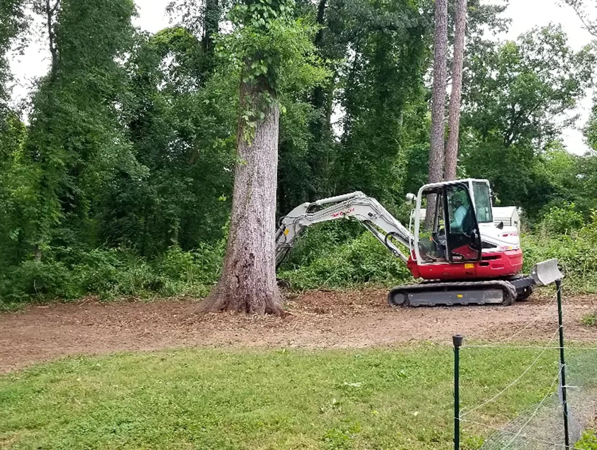 After brush clearing — open yard with clean sight lines
