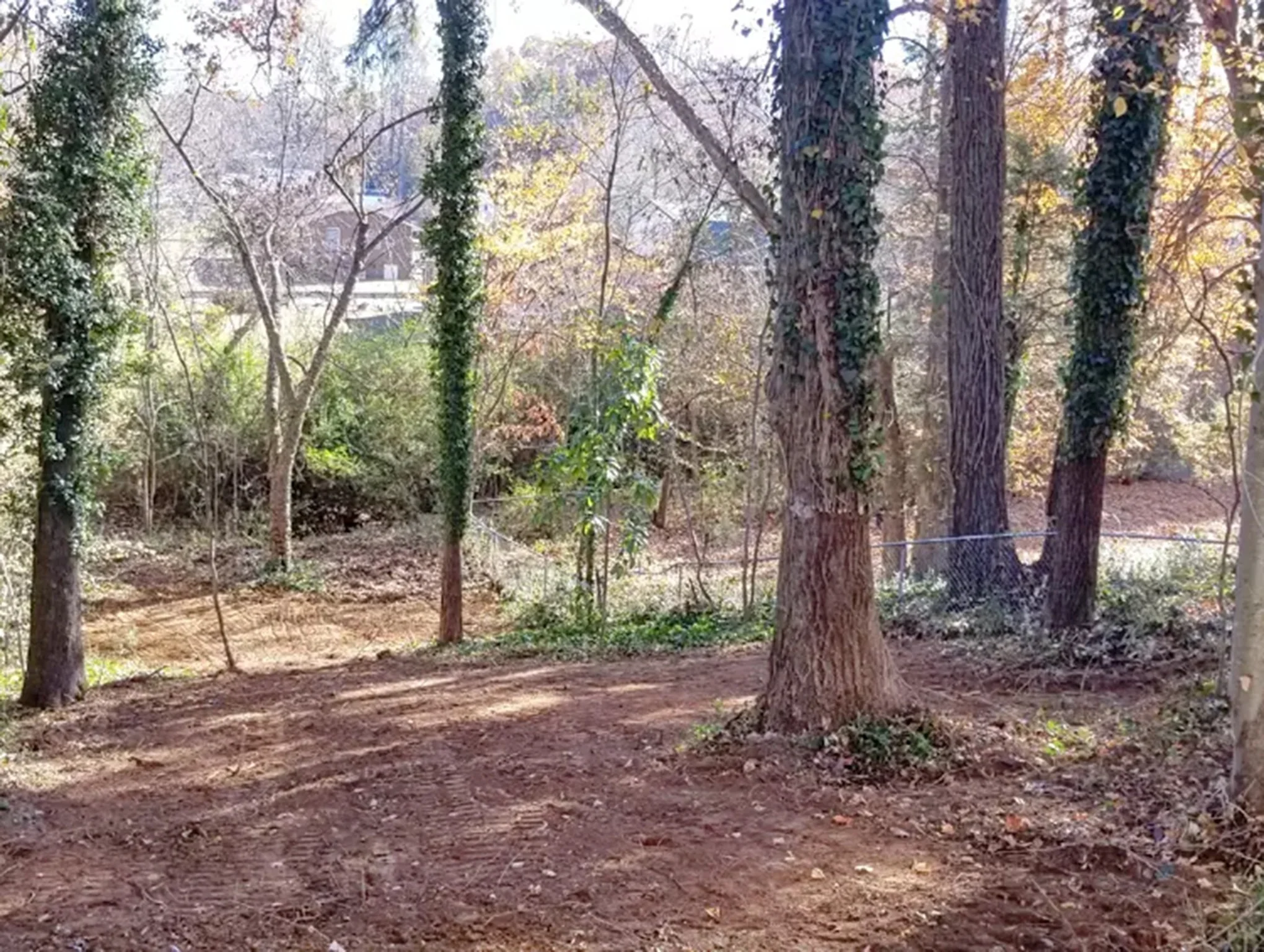 After brush removal — clean fence line and yard
