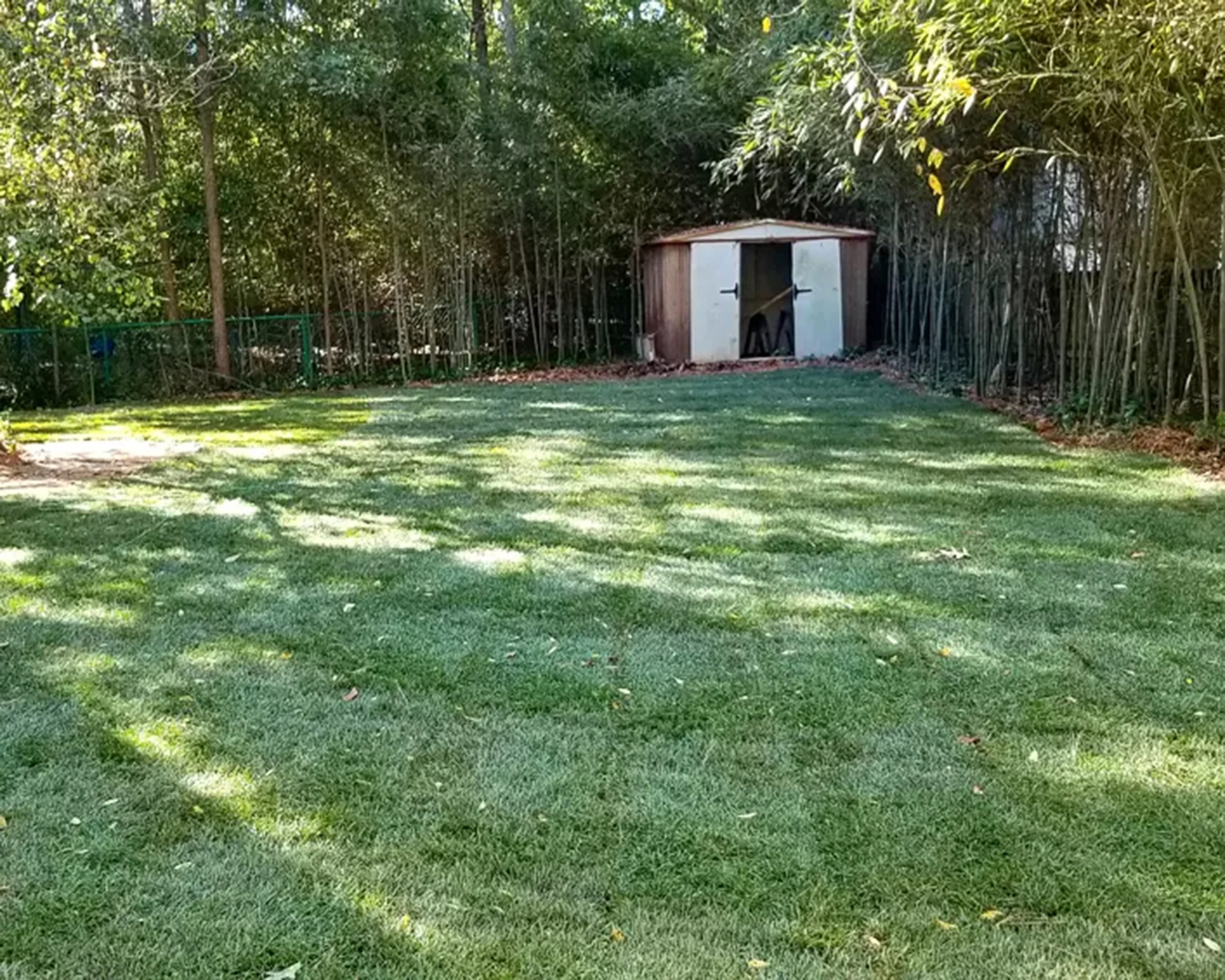After backyard cleanup — clean, usable outdoor space