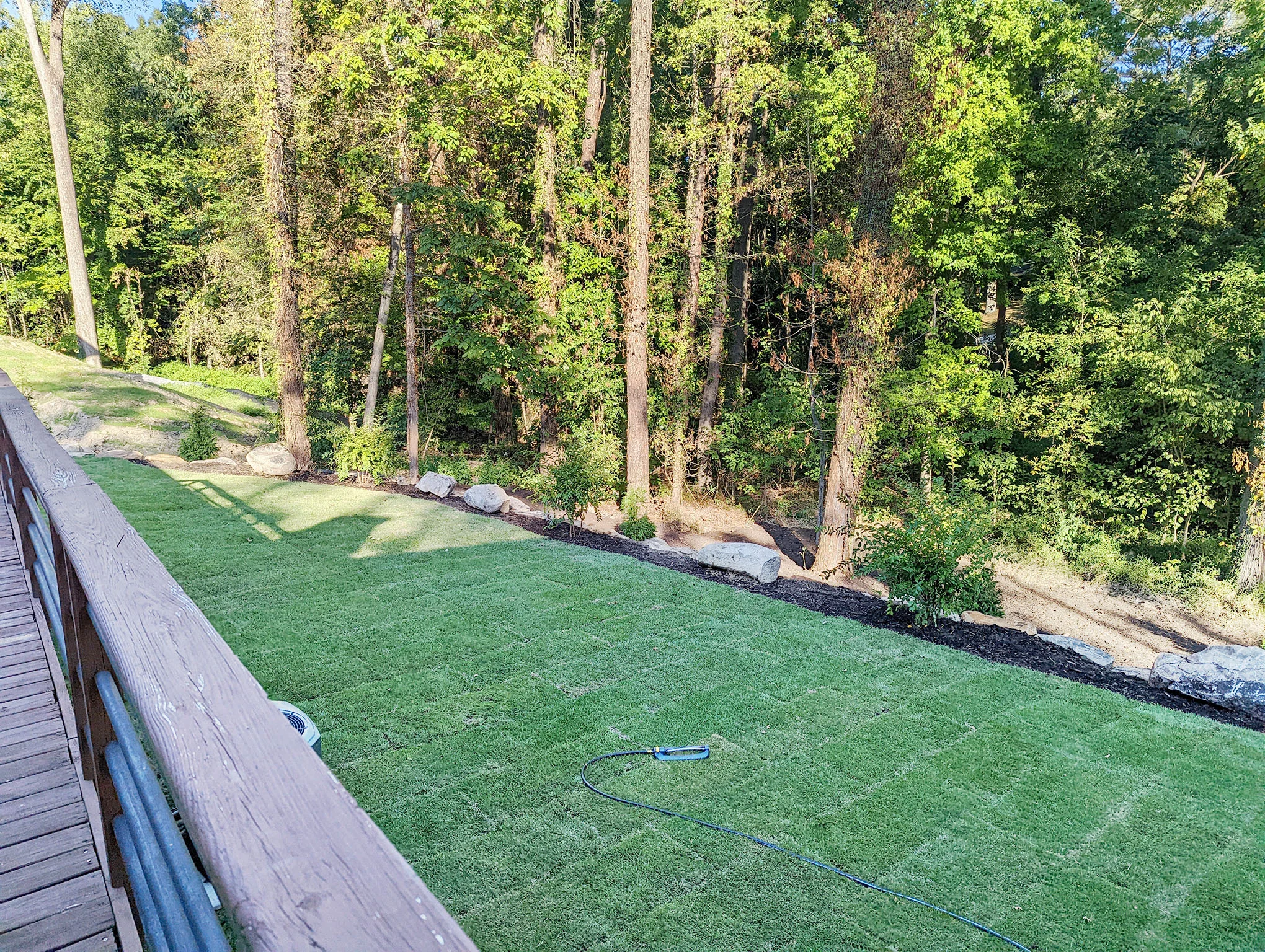 Lush green lawn after fescue sod installation