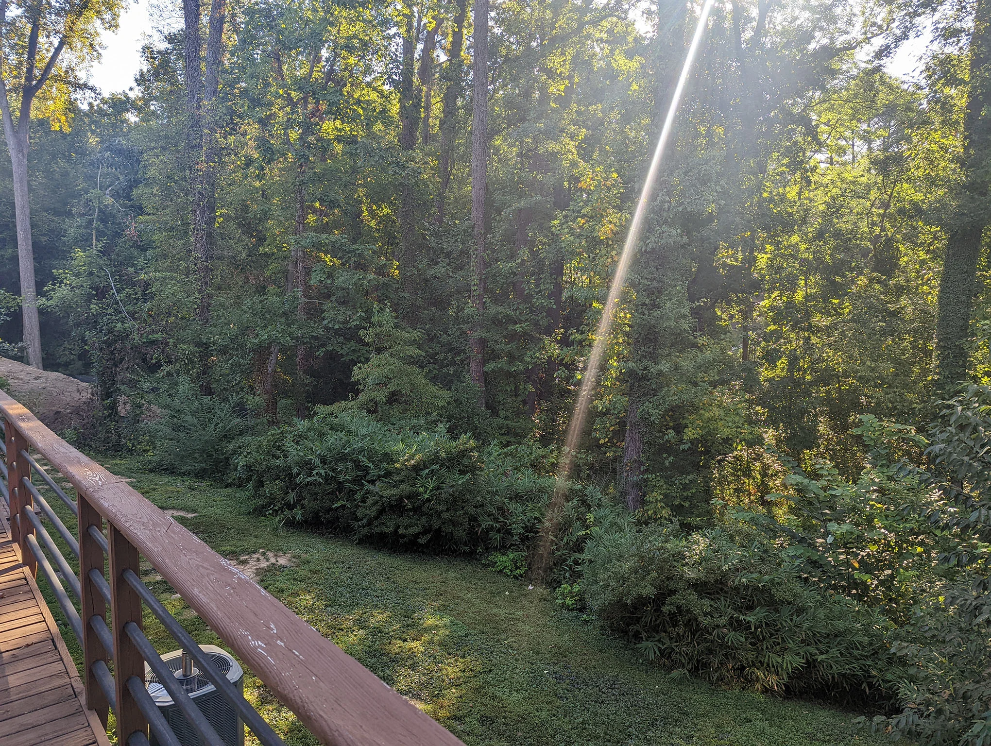 Bare dirt yard before sod installation